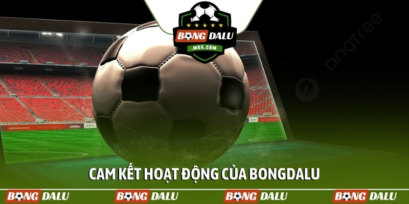 Cam kết hoạt động của Bongdalu